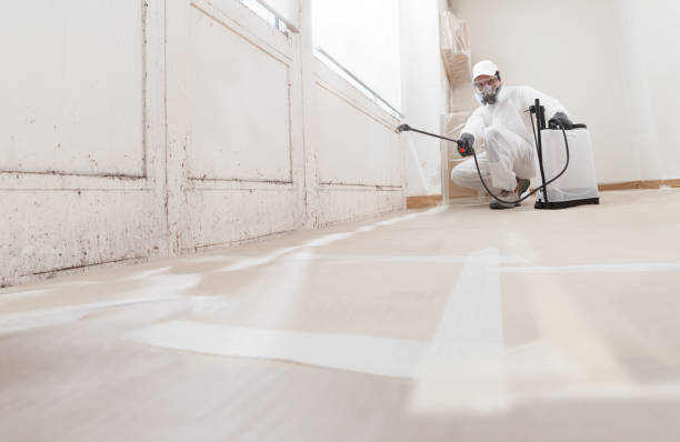 24/7 Emergency Mold Remediation experts in Spring, TX